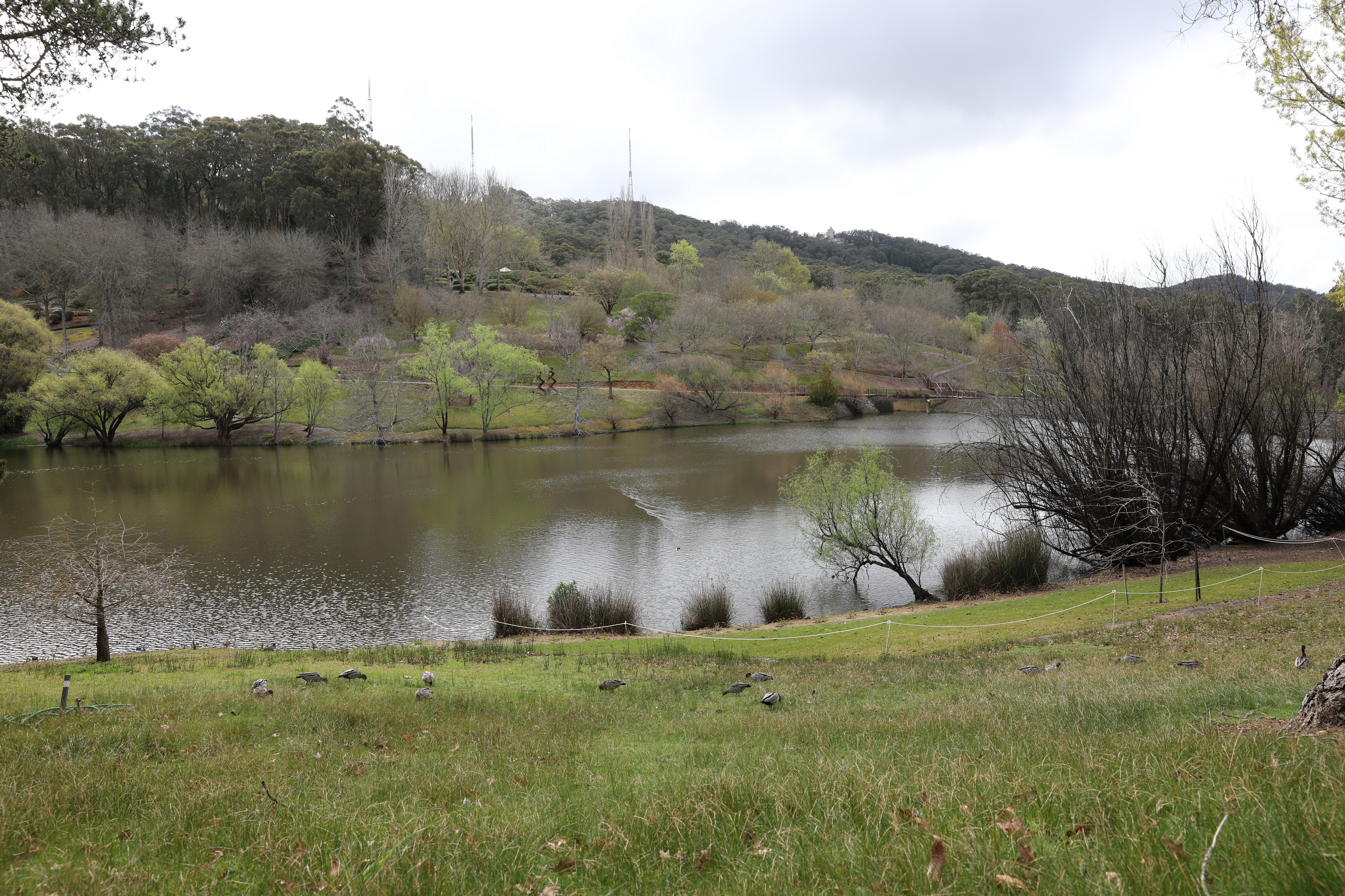 2019 09 21 14 37 18 Canon EOS 5D Mark IV 0001